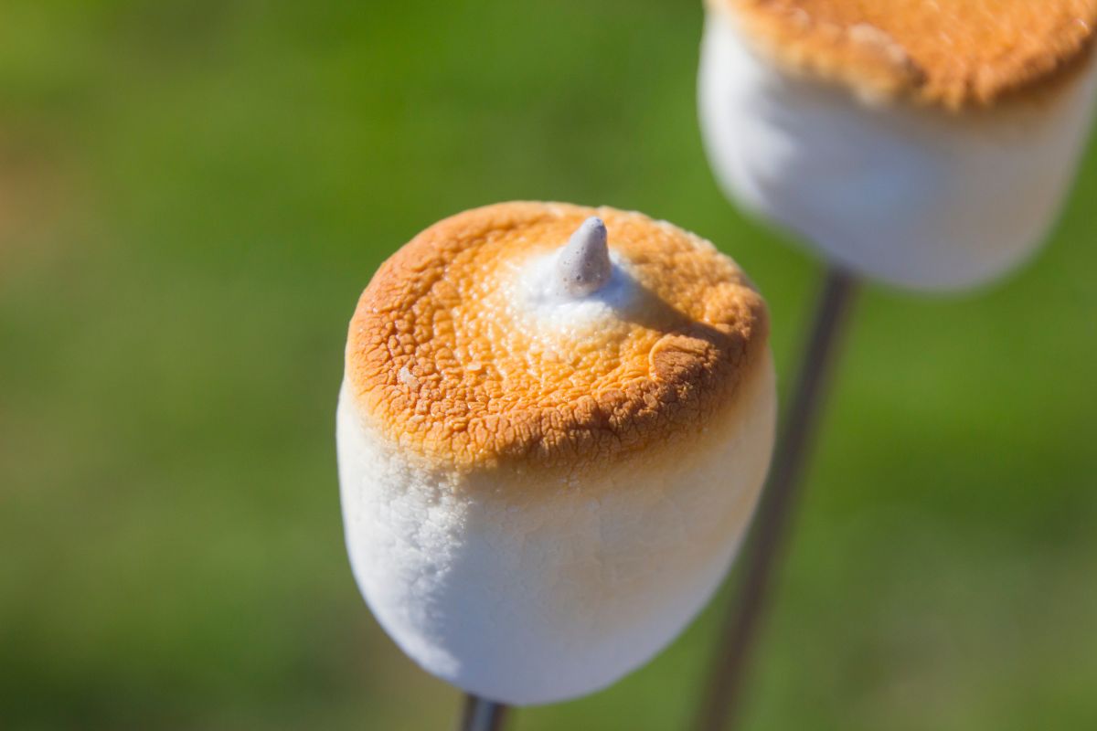 Marshmallow roasting deals