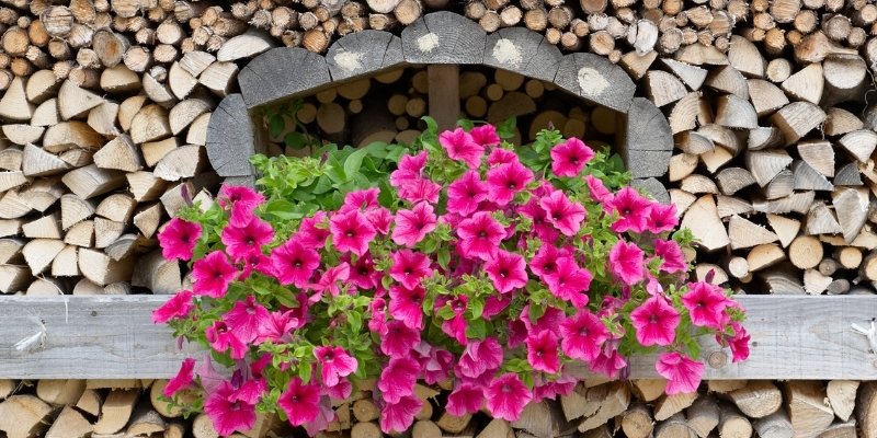 How Do You Know if Firewood is Dry Enough To Burn? | Firewood | Walden Backyards