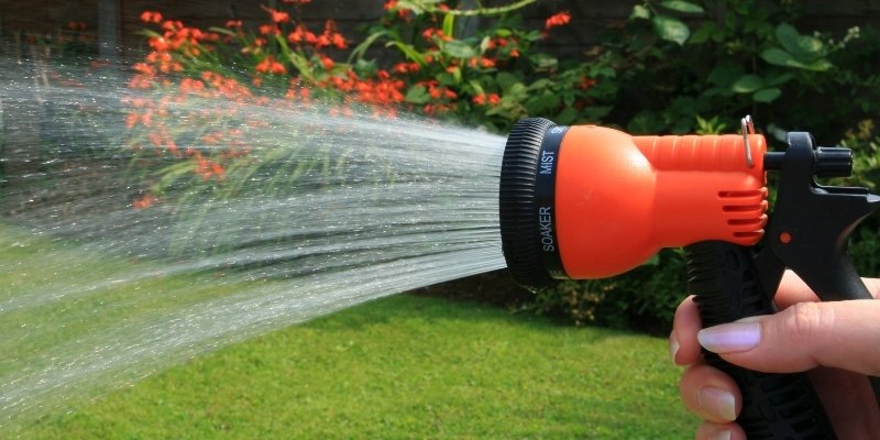 Is Water the Best Way to Put Out Your Campfire?