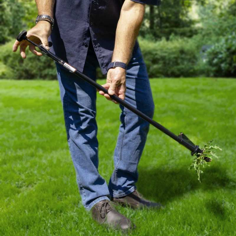 pull weeds out from the yard while standing up