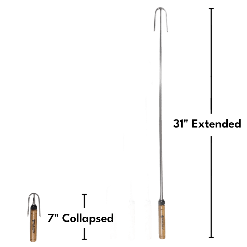 When collapsed, the safety roasting stick measures 7 inches. When extended, teh safety roasting stick measures 31 inches.