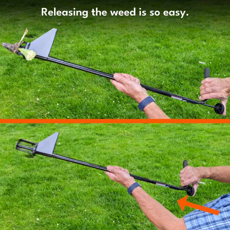 releasing the weed is as easy as pushing the upper knob downwards