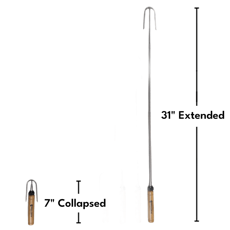 When collapsed, the safety roasting stick measures 7 inches. When extended, teh safety roasting stick measures 31 inches.